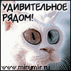 Я_Чудо